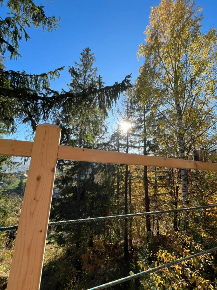 Image 5 of Hovanka