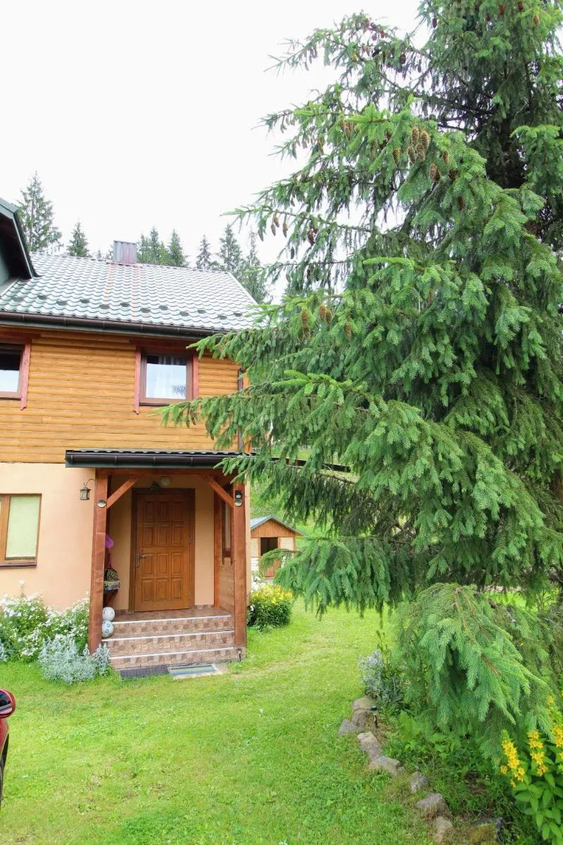 Image 4 of Hrystyna