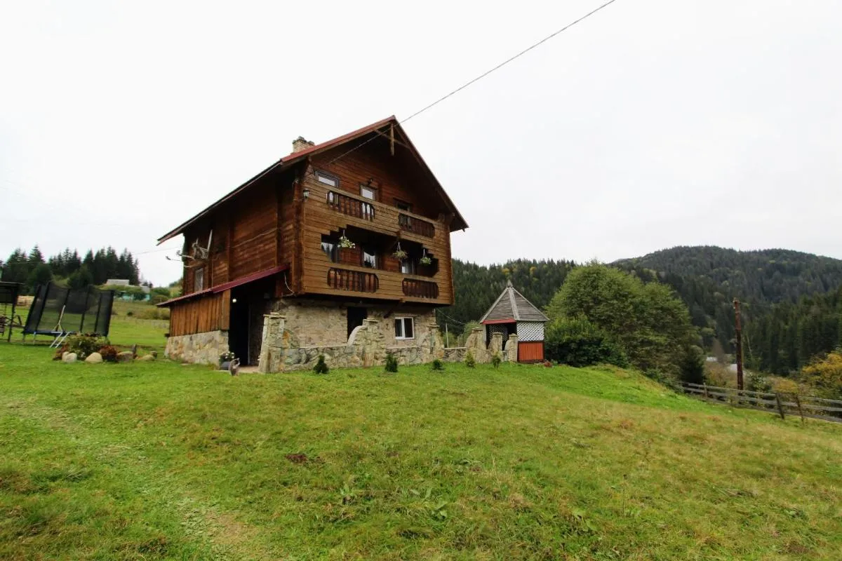 Image 2 of “Карпати”