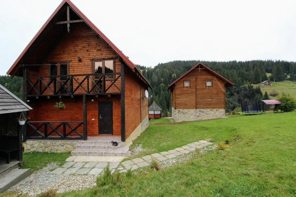 Image 1 of “Карпати”
