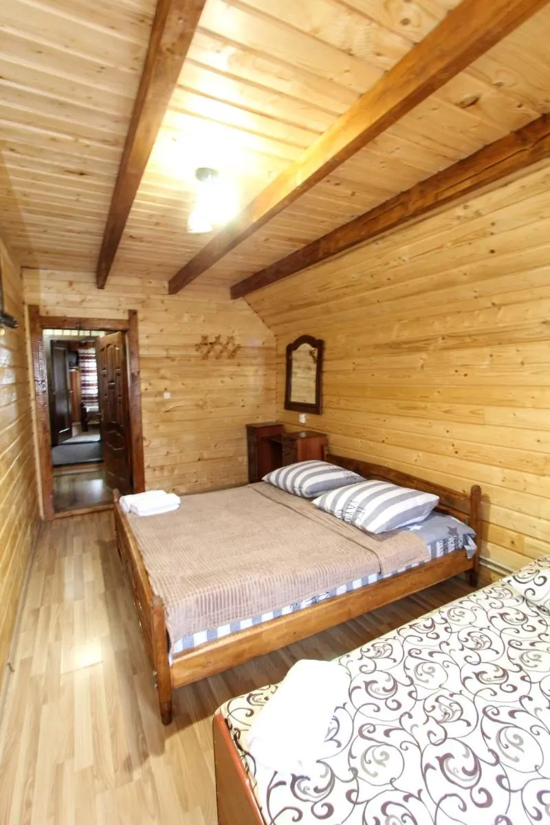 Image 4 of “Карпати”