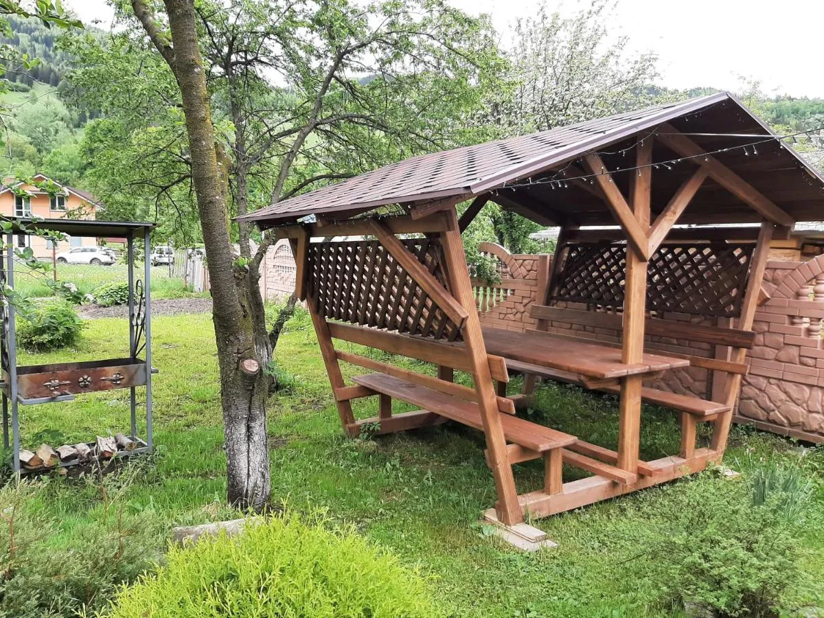 Image 5 of Карпатія