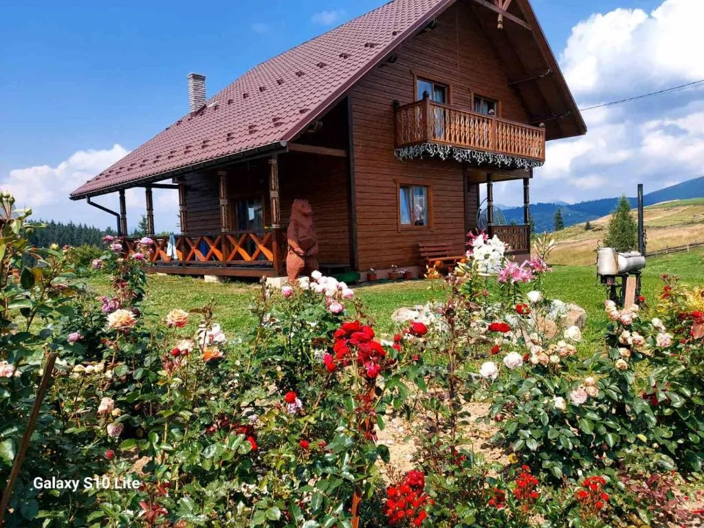 Image 1 of Карпатська Модринка