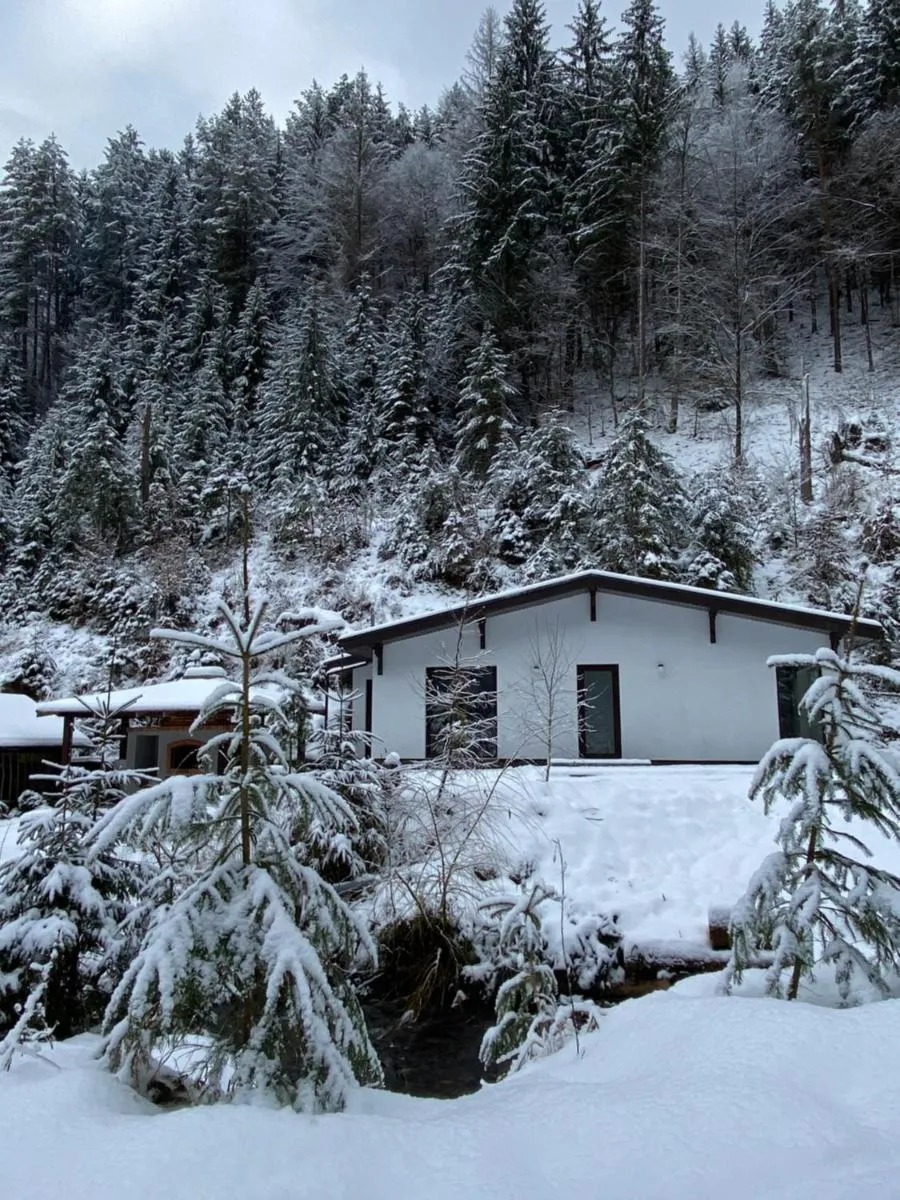 Image 5 of Котедж