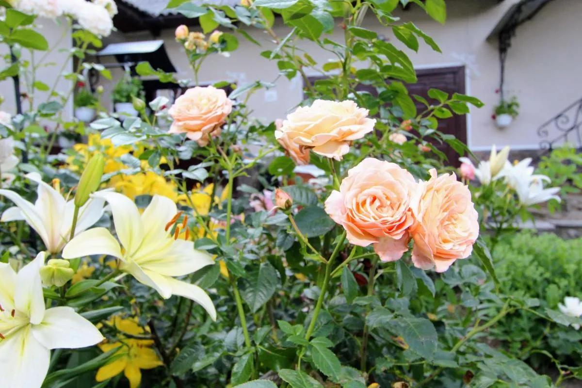 Image 7 of Котедж “Красний Краєвид”