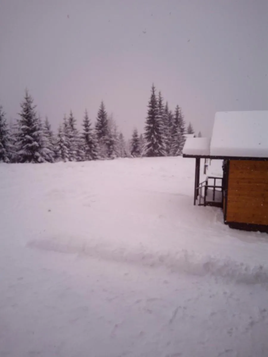 Image 6 of Коттедж для отдыха Дискавери