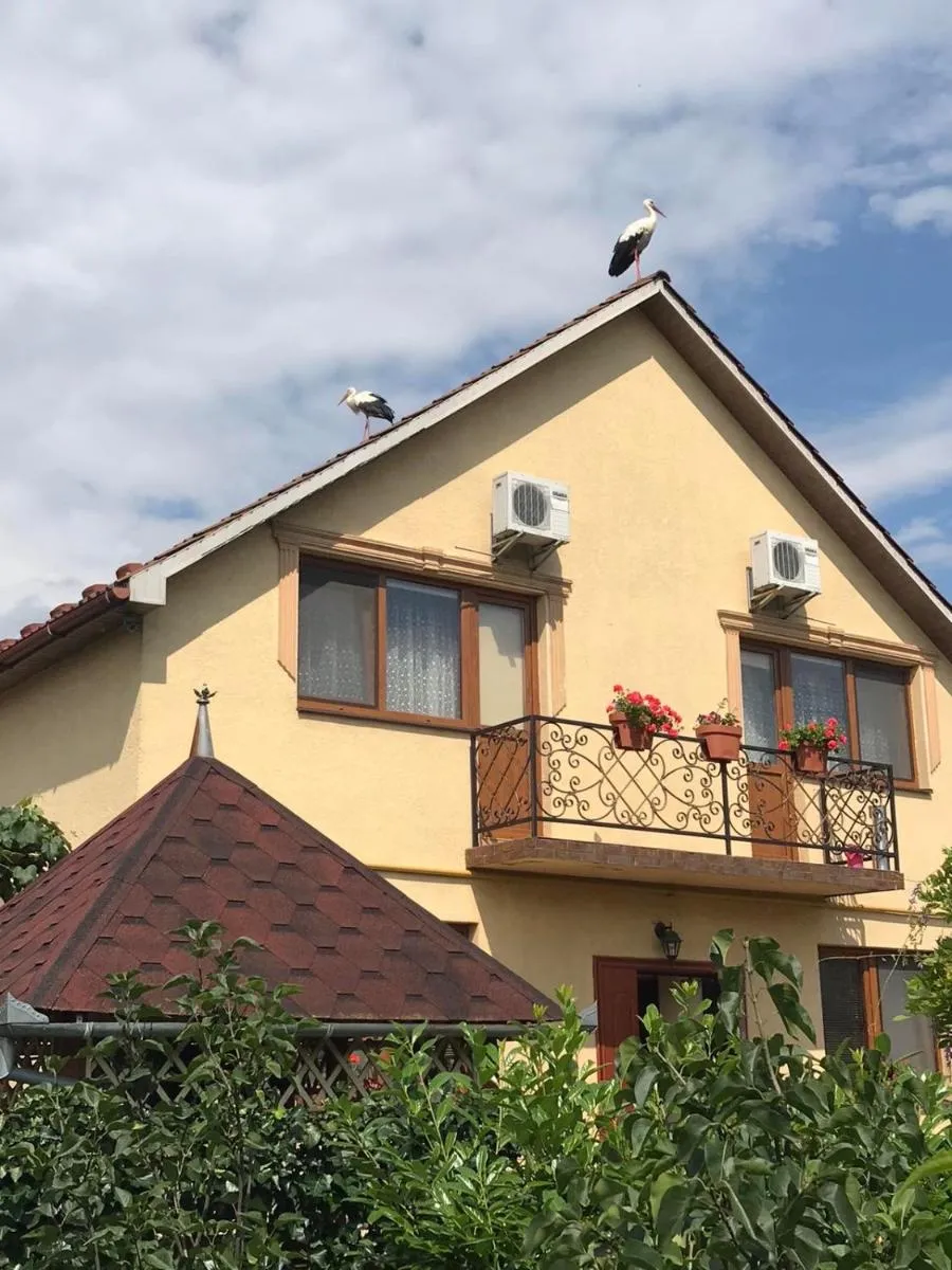 Image 4 of Квітковий двір