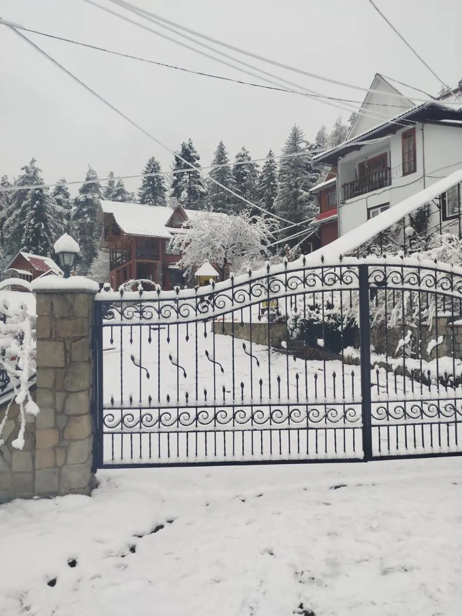 Image 6 of Лісова казка