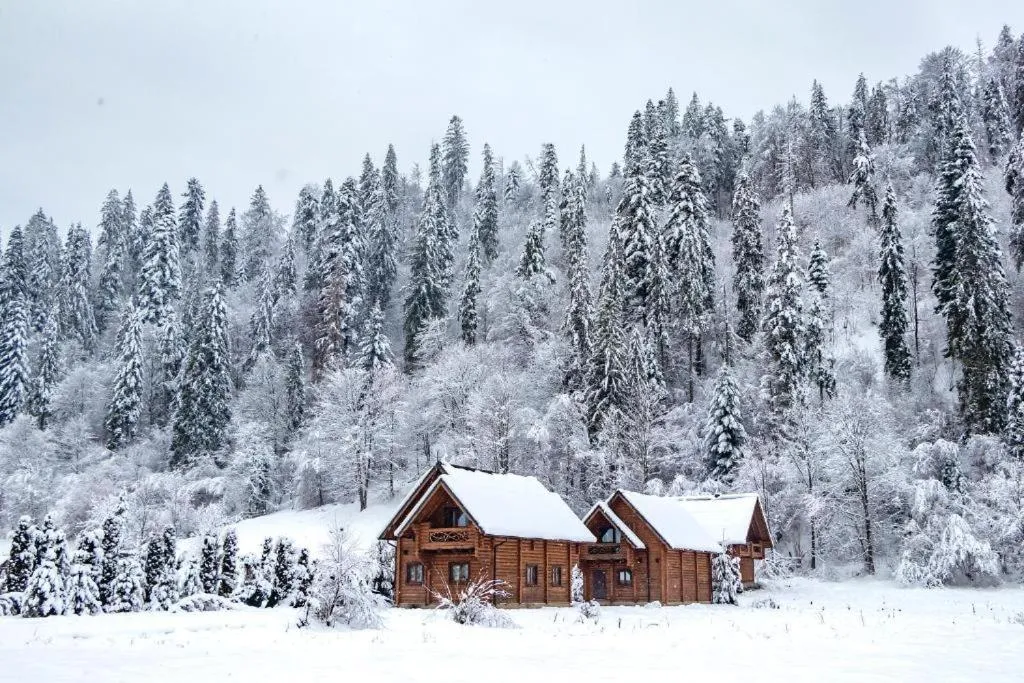 Image 1 of Mayak Chalet Resort Mykulychyn