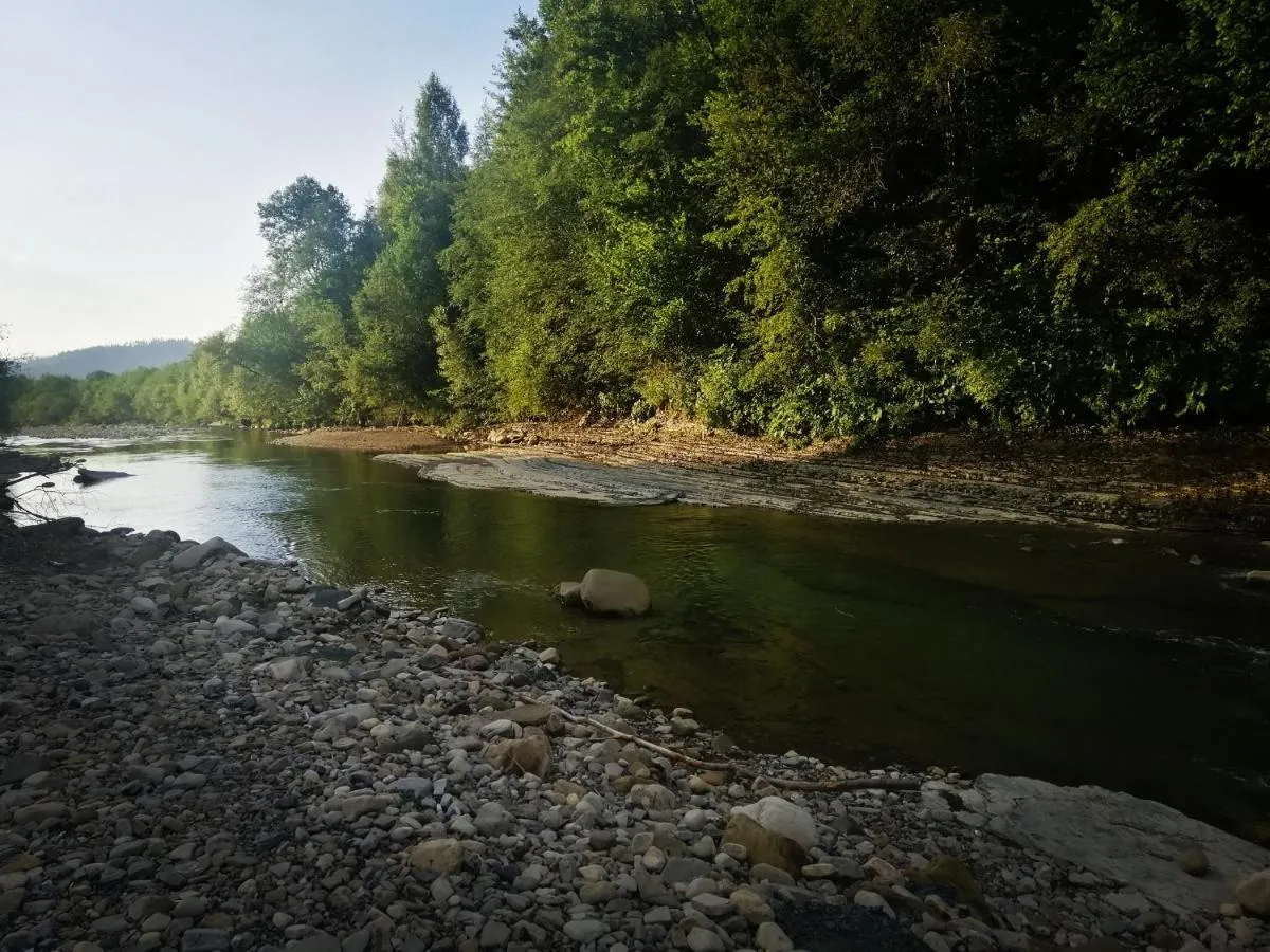 Image 7 of Medova Hata