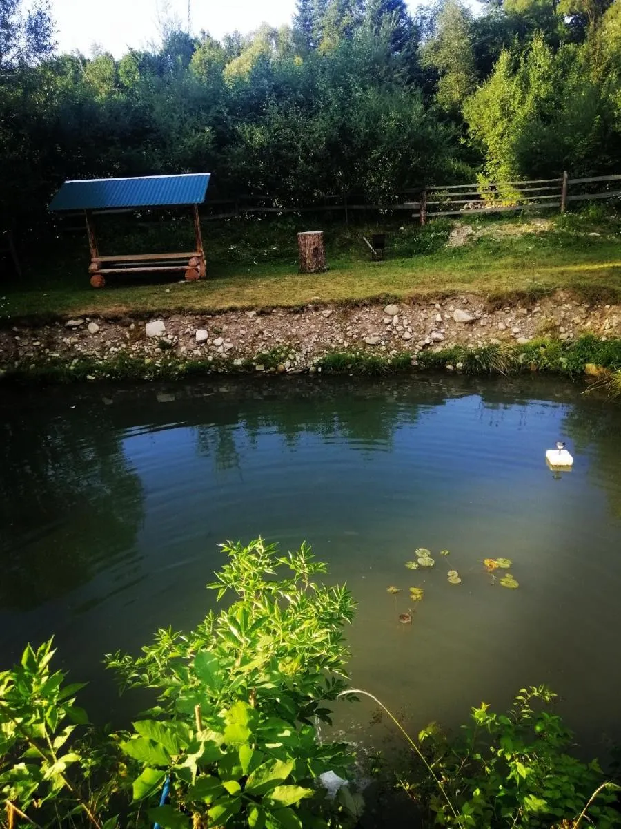 Image 6 of Medova Hata