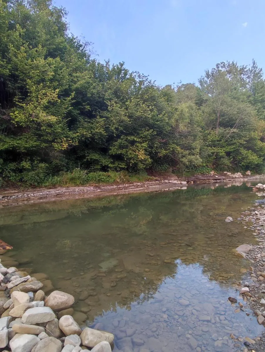 Image 5 of Medova Hata