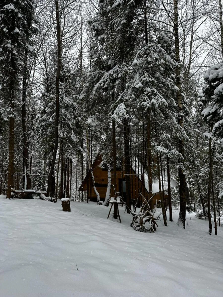 Image 6 of Oryavchik Country House
