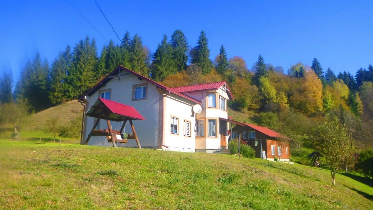 Image 3 of Pid lisochkom