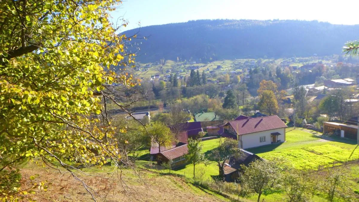 Image 2 of Pid lisochkom
