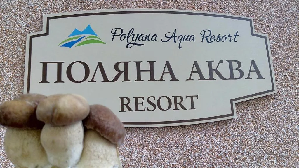 Image 1 of Поляна Аква Резорт