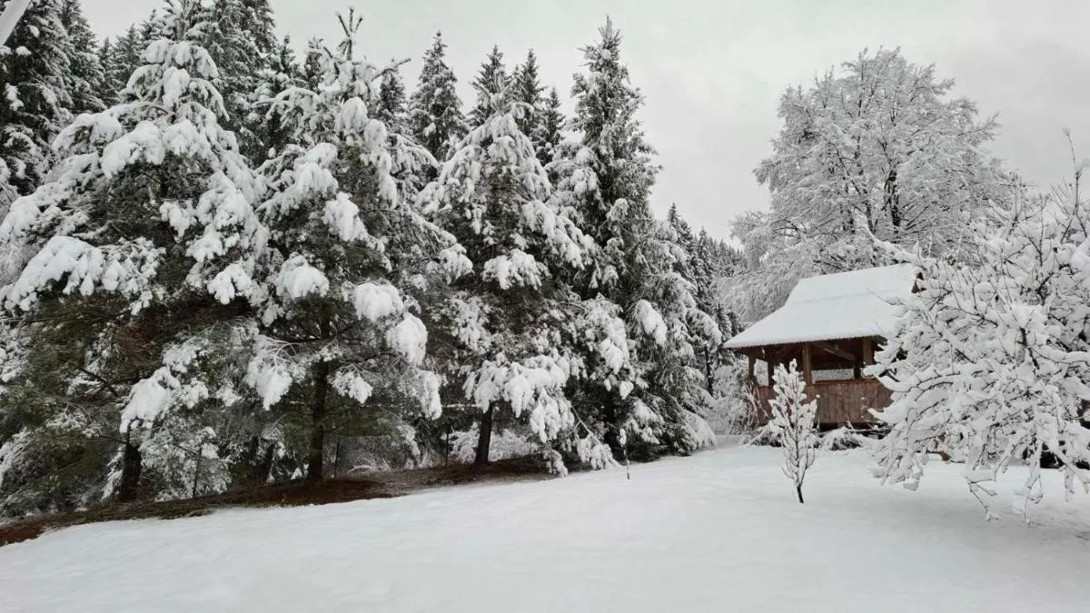 Image 2 of Райський куточок
