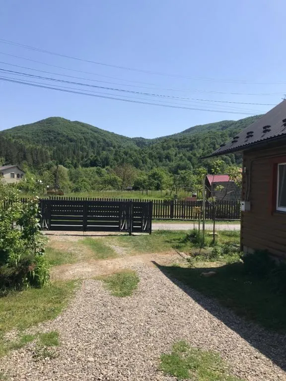 Image 1 of Ромашка