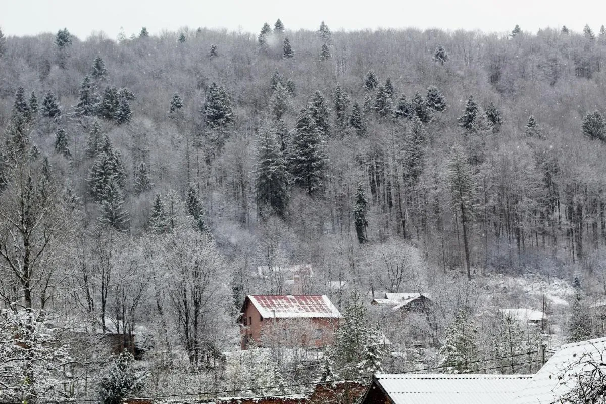 Image 3 of Садиба “Наталі”