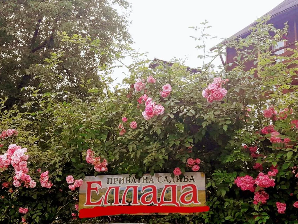 Image 1 of Sadyba Ellada