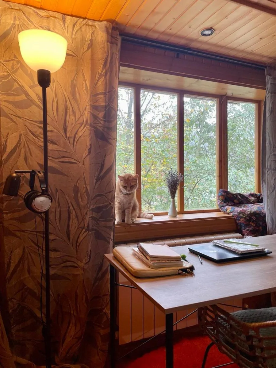 Image 4 of Sheshory Chalet