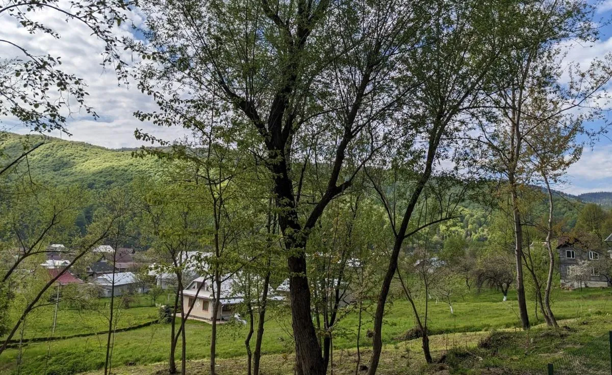 Image 3 of Sheshory Chalet