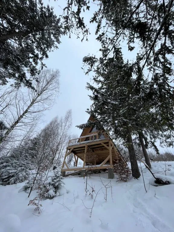 Image 1 of Схованка