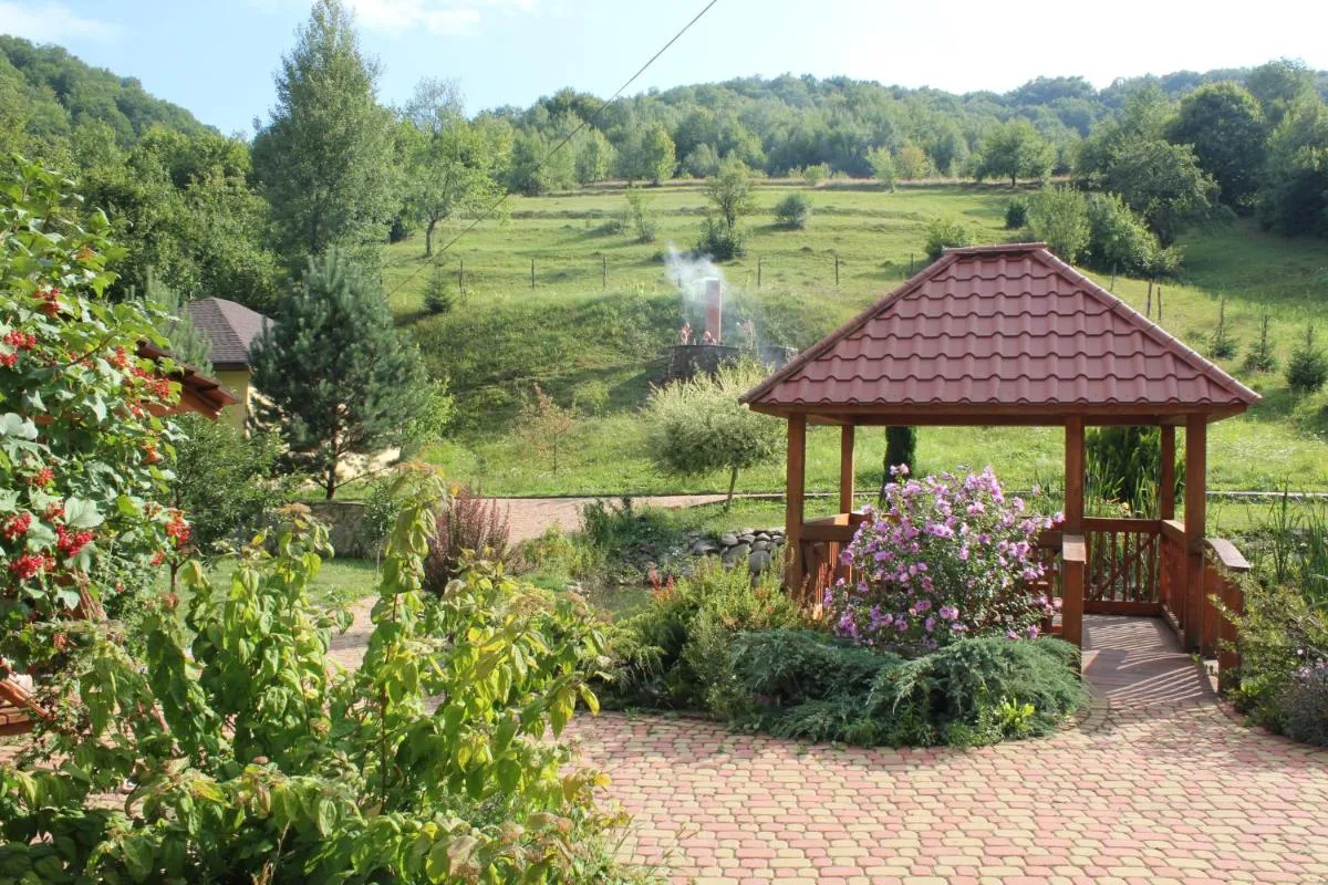 Image 3 of Svit Sontsya