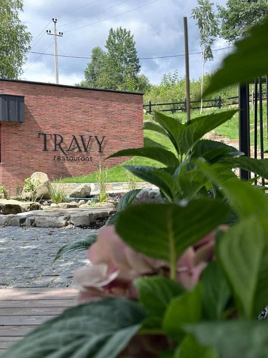 Image 4 of Travy