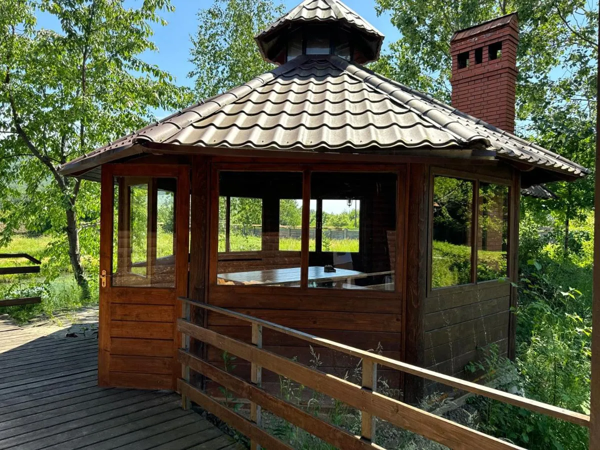 Image 4 of Троянда Карпат
