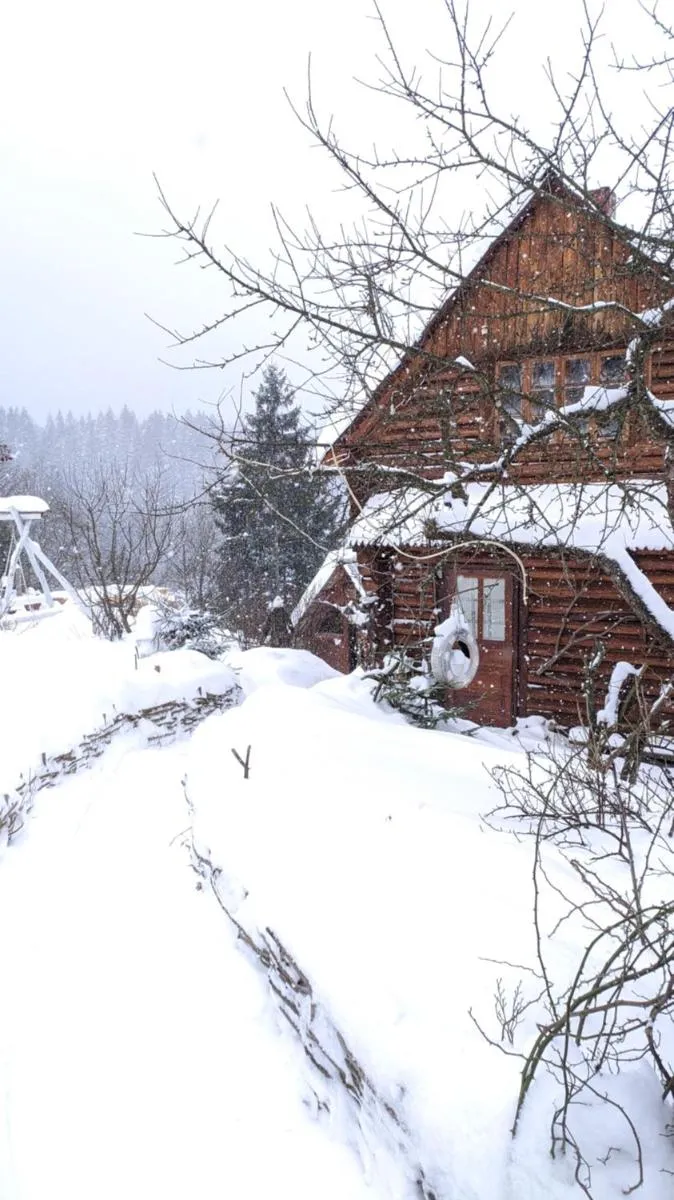 Image 7 of U Odesyta