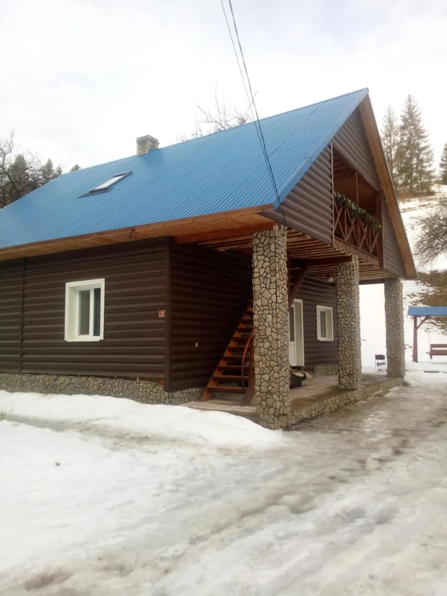 Image 4 of “Відпочинок в Карпатах”
