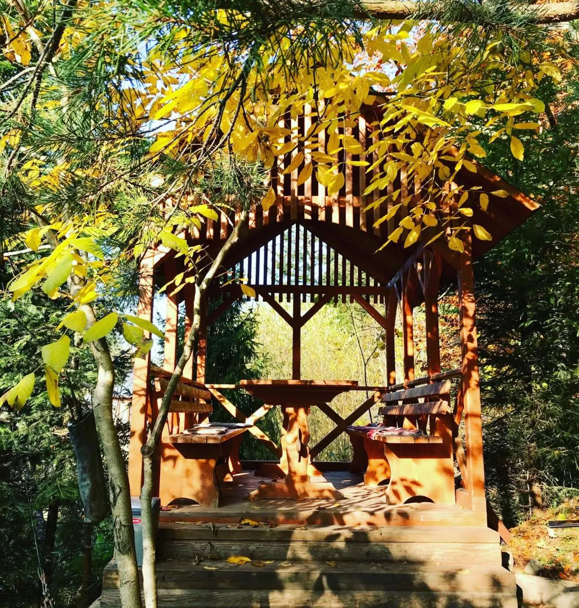 Image 6 of Вілла Лісова комфорт