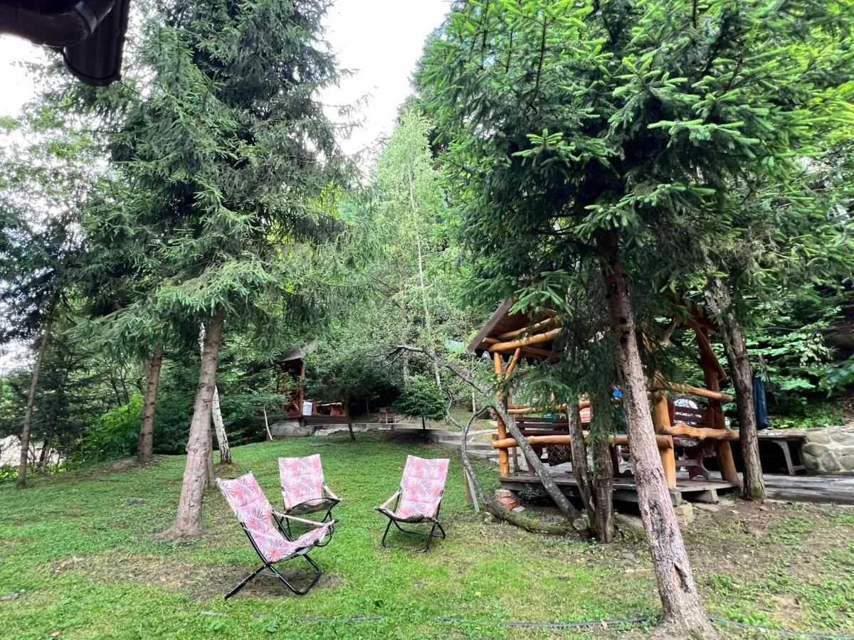 Image 7 of Вілла Лісова комфорт