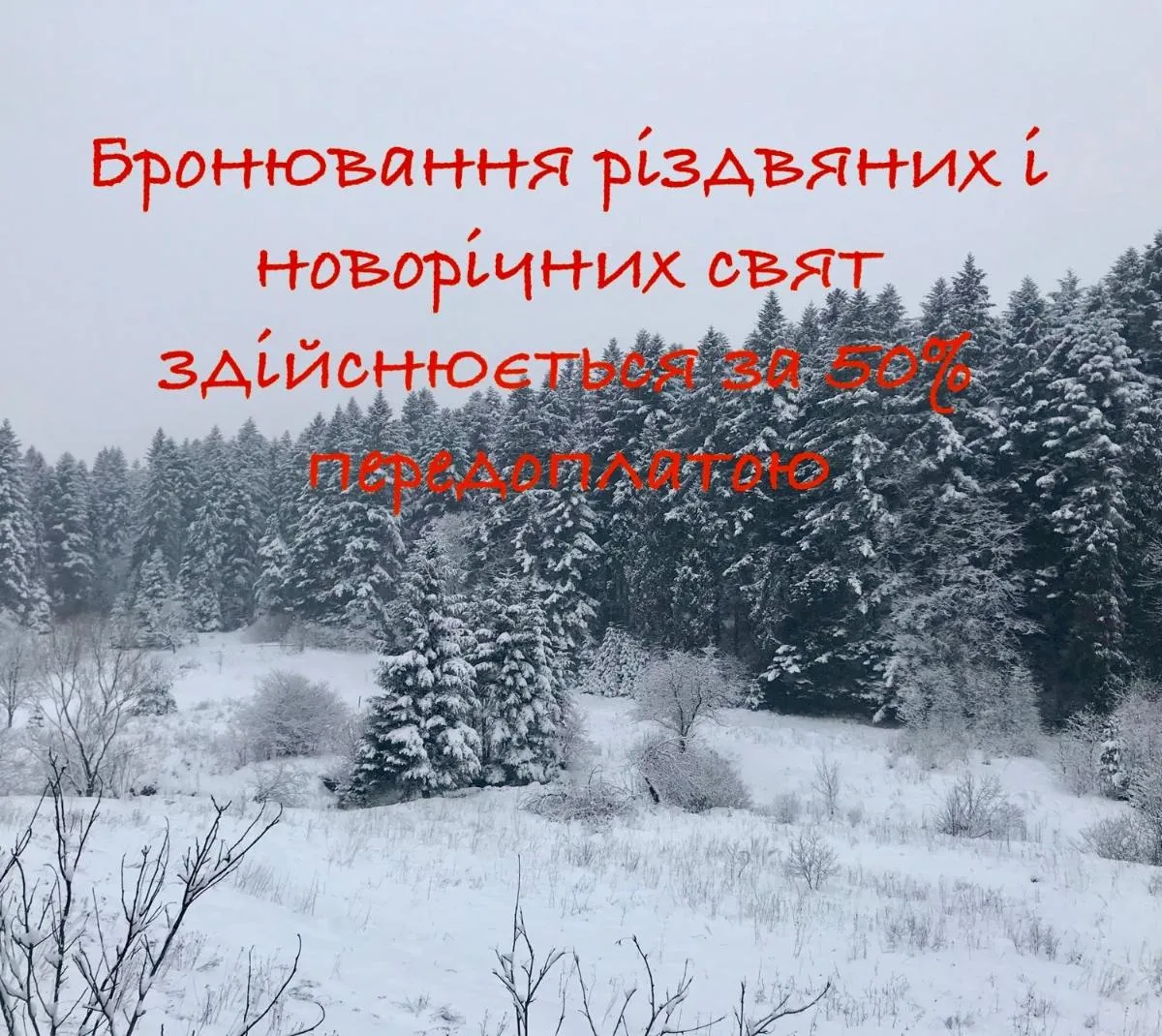 Image 2 of Вілла Лісова комфорт