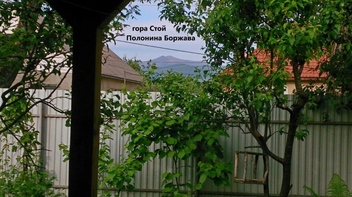 Image 5 of Villa Svalyavа