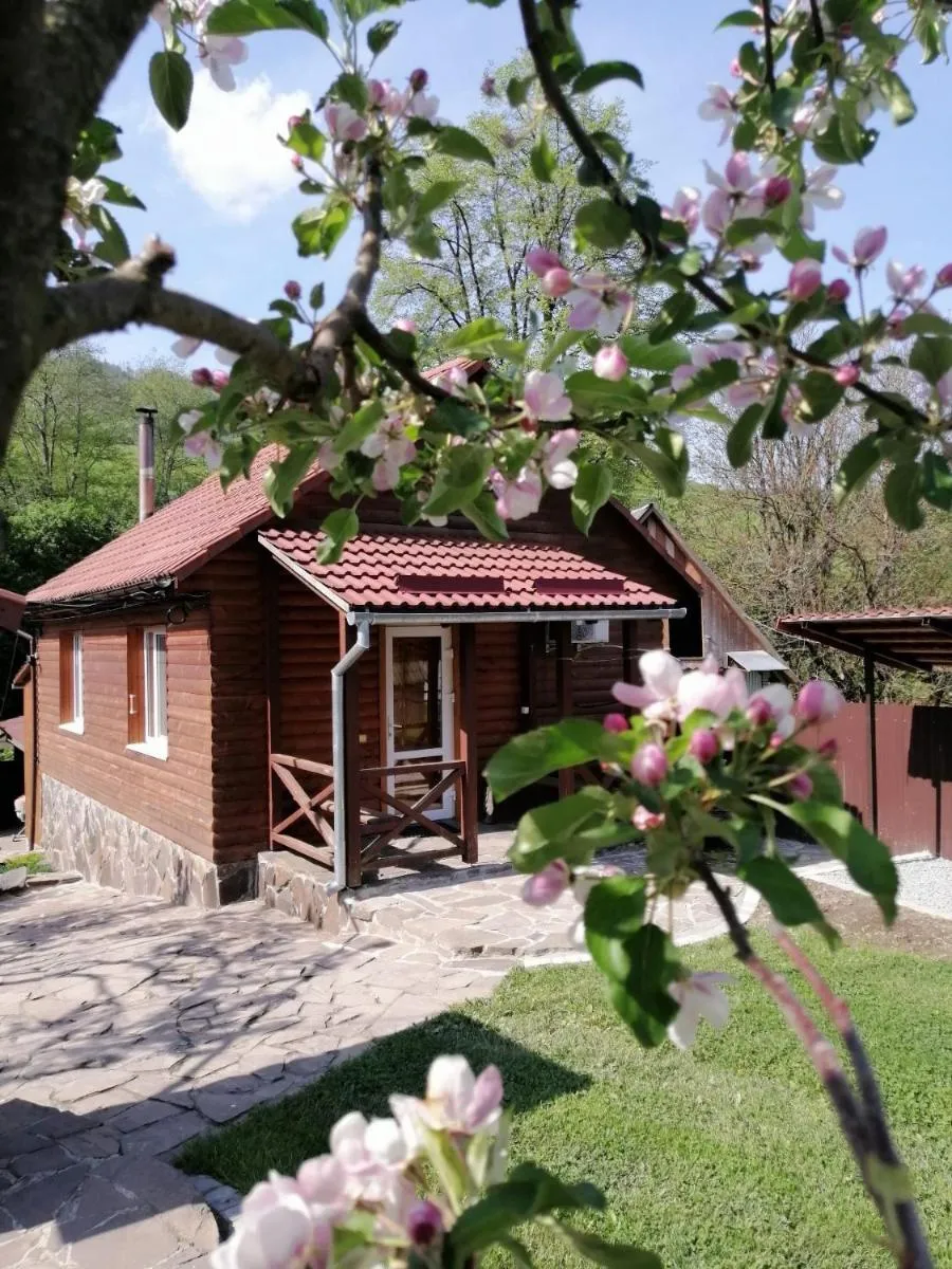 Image 4 of Зачаровані Карпати, Воловець