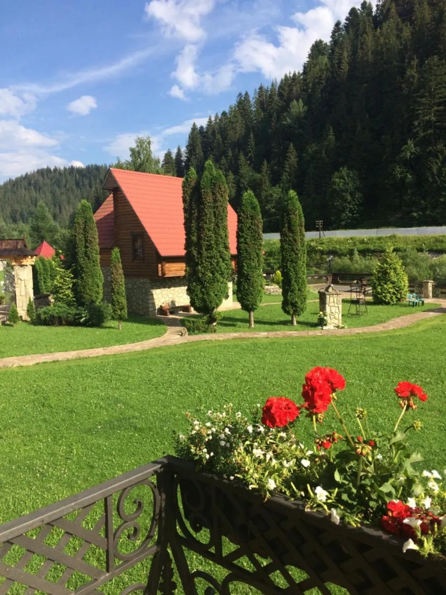 Image 3 of Затін
