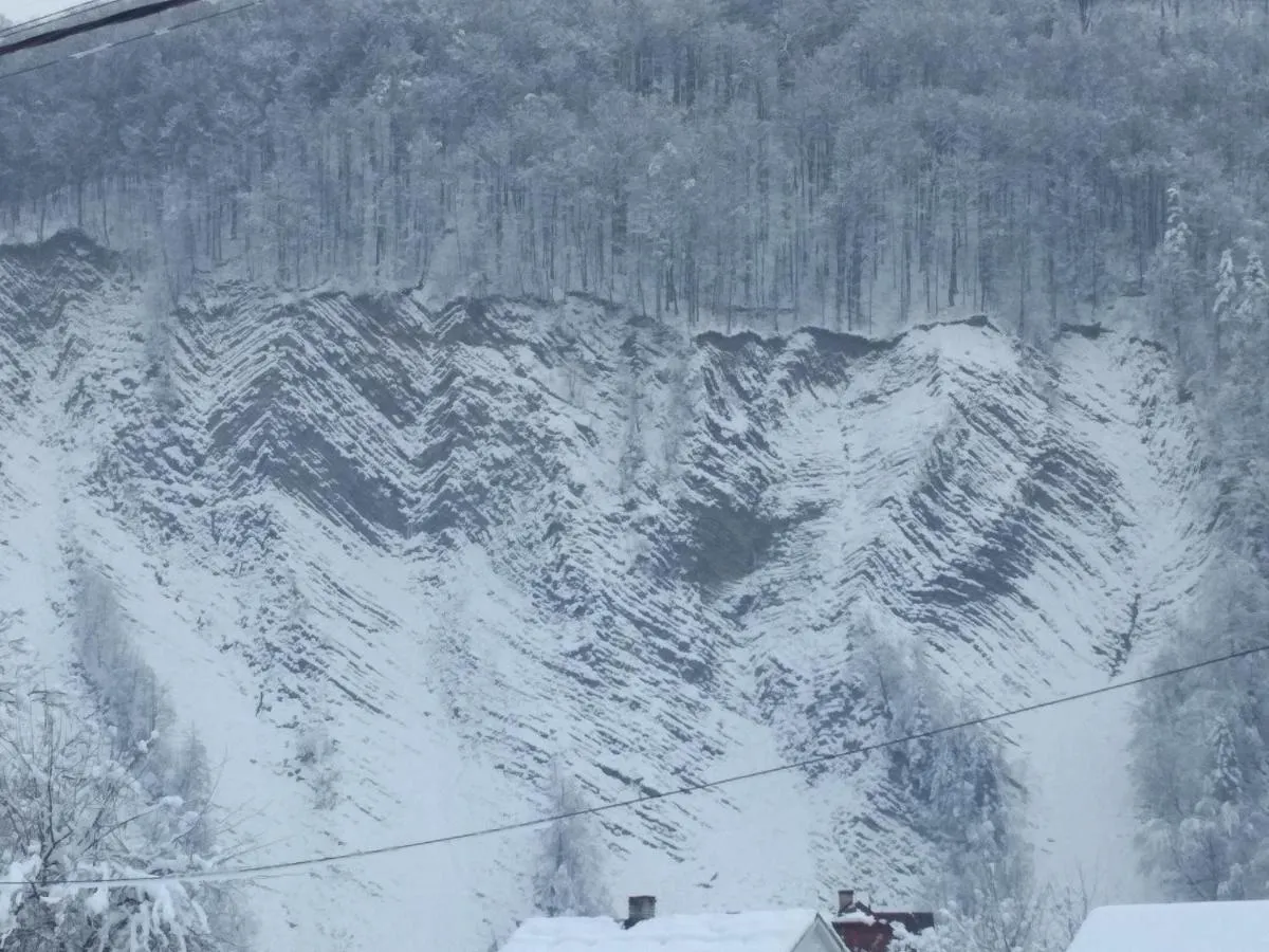 Image 3 of Zelena Sadyba Bila Stavka
