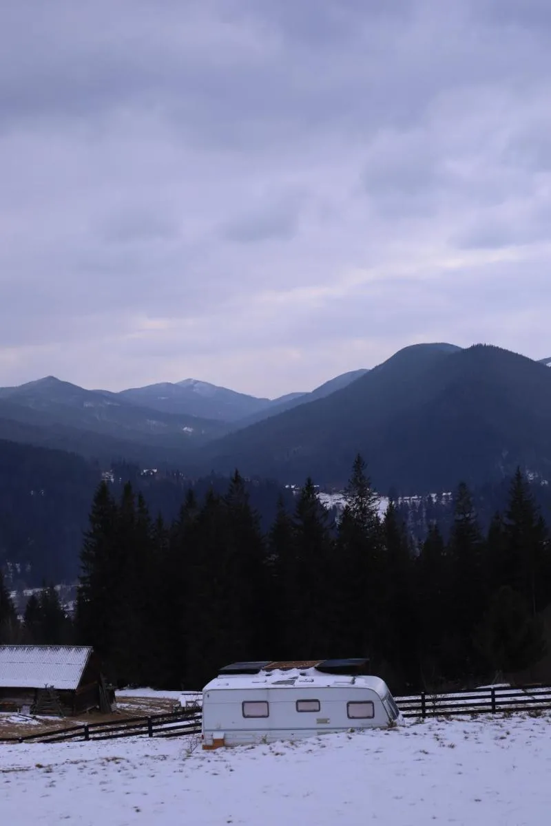 Image 5 of Zillya Club