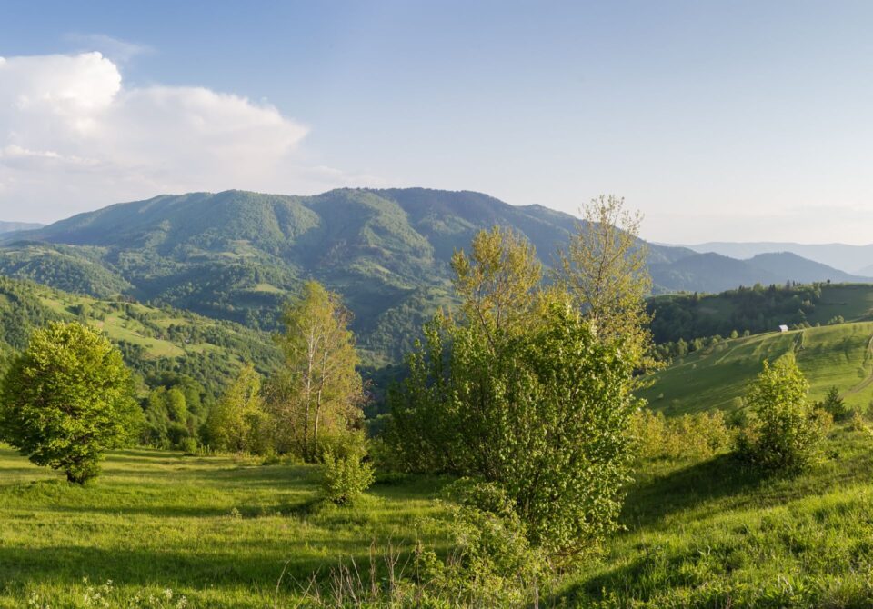 Carpathian Biosphere Reserve, Ukraine