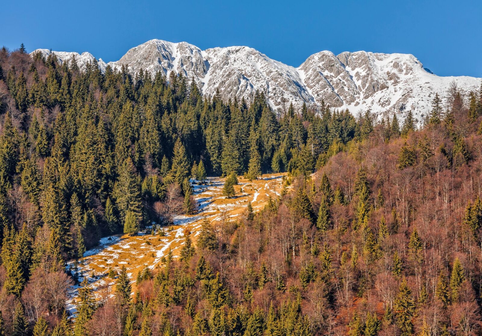 Piatra Craiului National Park, Romania