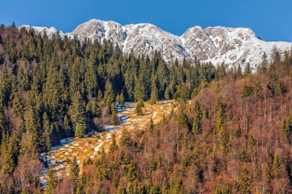 Piatra Craiului National Park, Romania